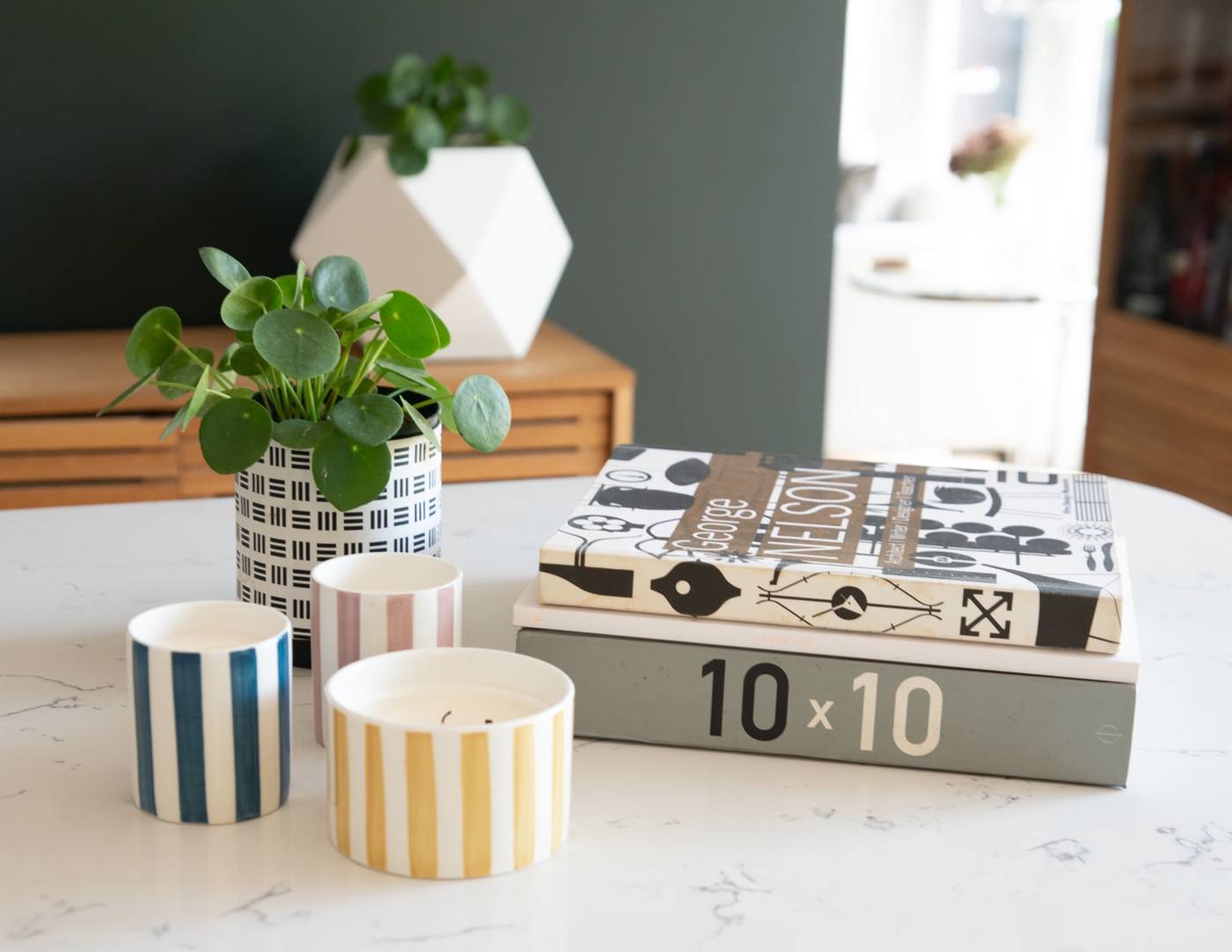 Houseplants and books on a shelf