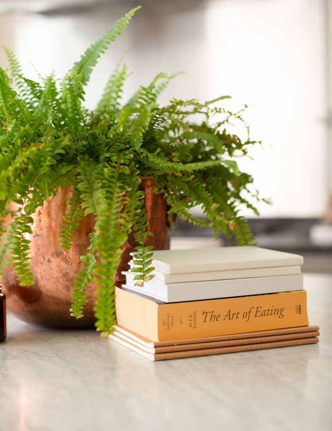 Fern and cookbooks