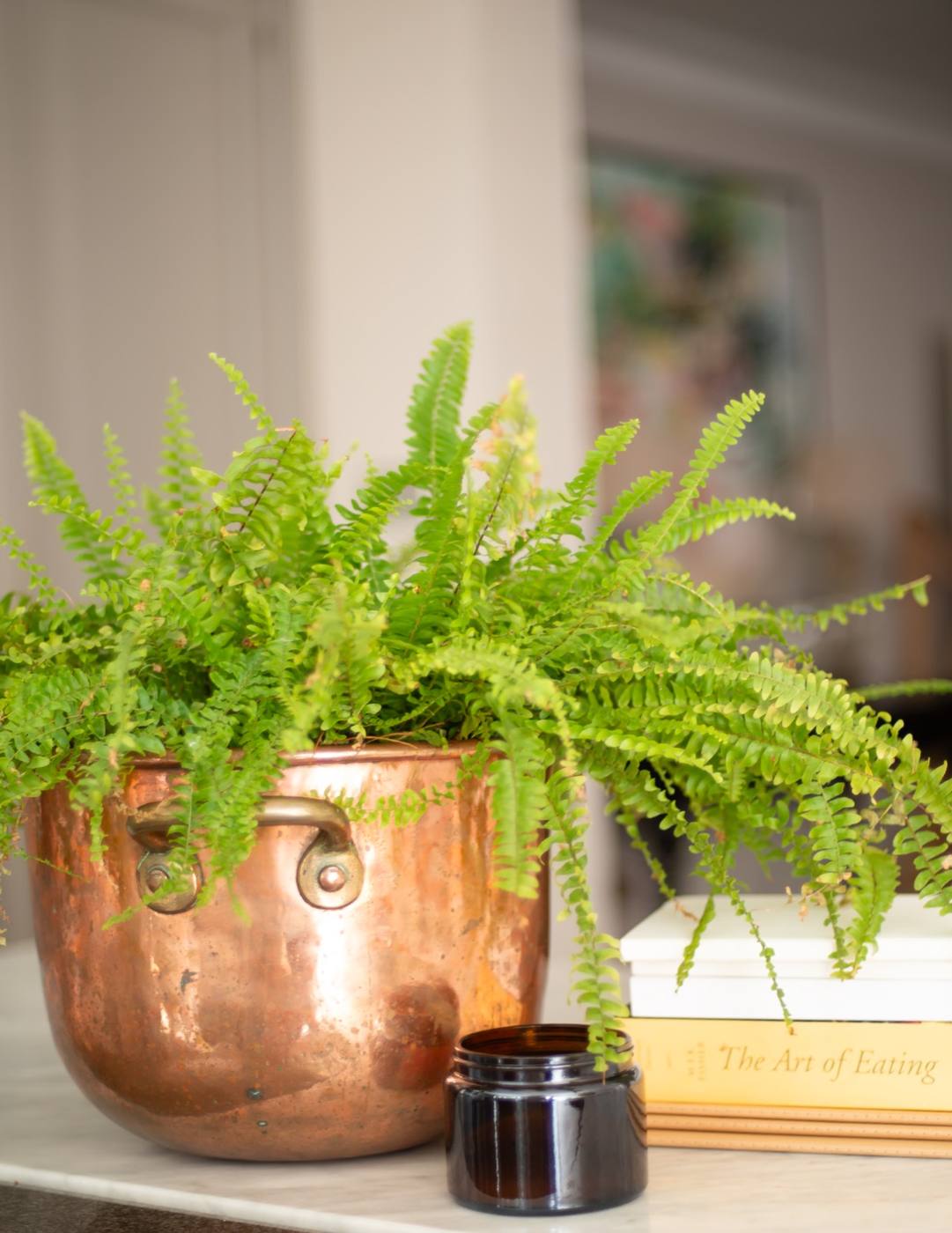 Green fern in a copper pot
